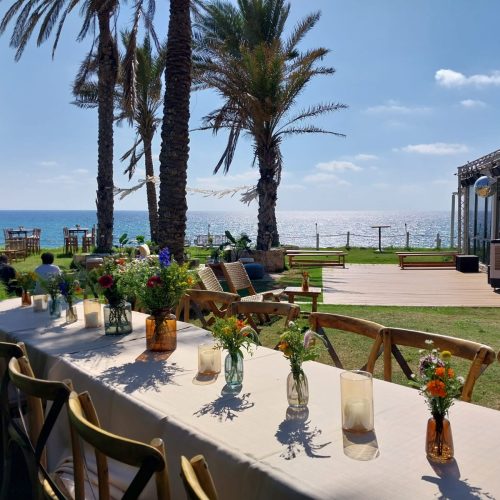 9cf890db-31a8-461c-b795-425256d66bb2